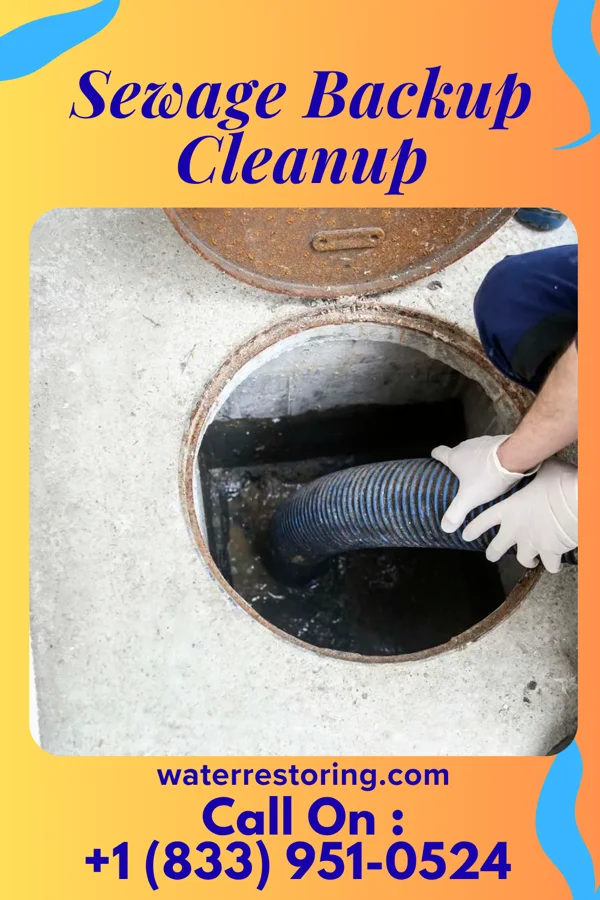 Sewage Backup Cleanup in Schofield, WI