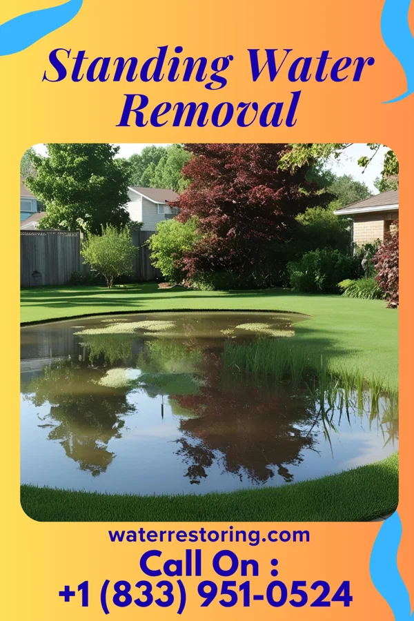 Standing Water Removal in Schofield, WI